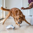 Peixe Sapeca - O companheiro diário do seu cãozinho